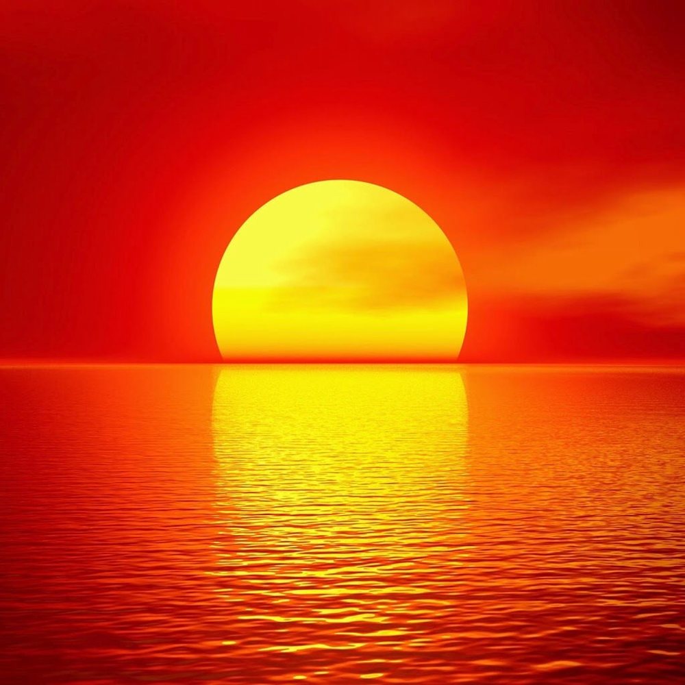 Meet your Posher, Larisa